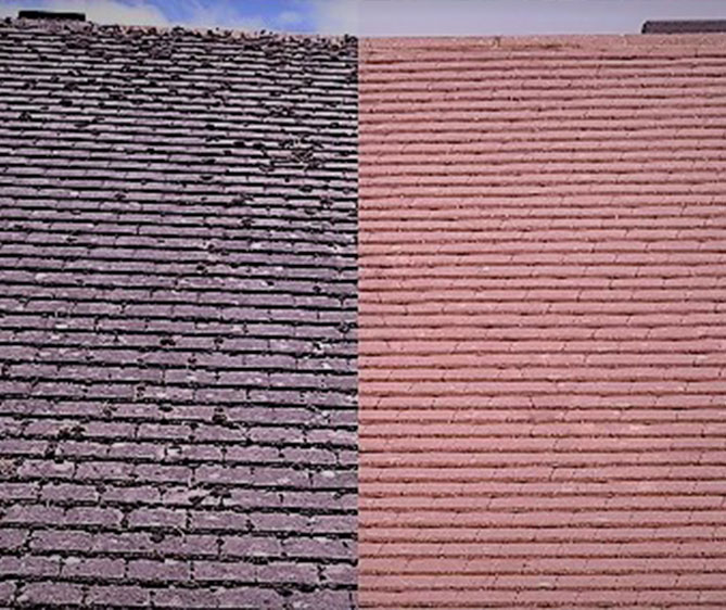 Roof comparison